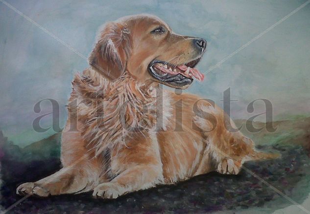 golden retriever Media Mixta Papel Otros