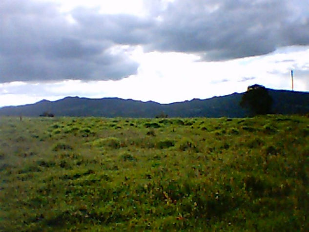 Atardecer en el Campo 