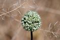 Naturaleza