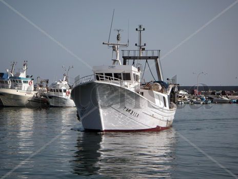 Pesca_Motril