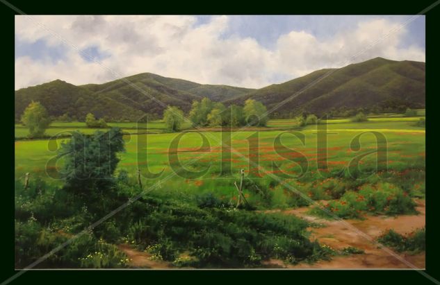 Campo de amapolas Oil Canvas Landscaping