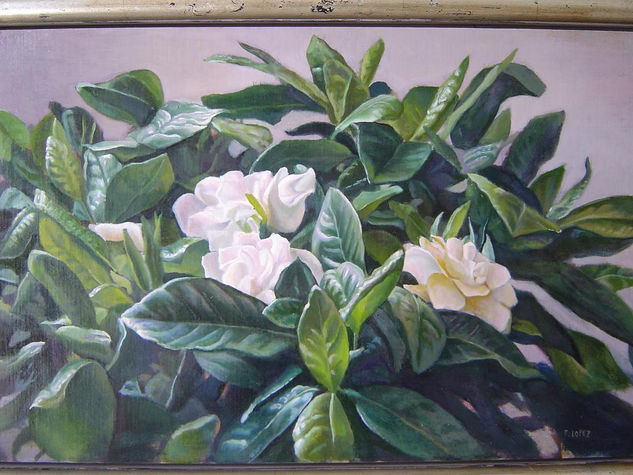 Magnolia Oil Panel Floral Painting