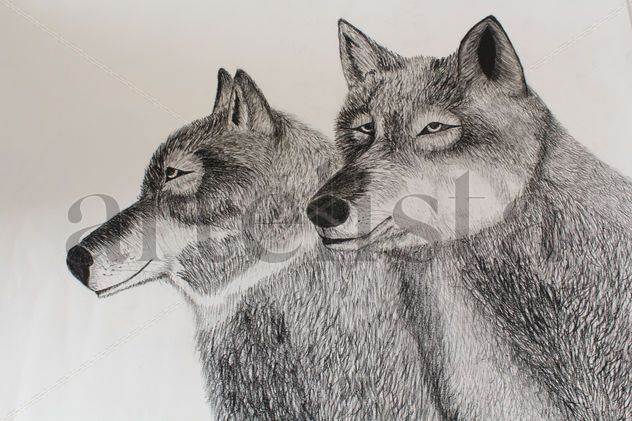 Wolves.