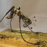 Insectos thumbnail 1