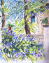 La ventana verde