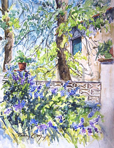 La ventana verde