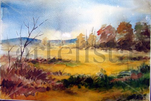 Campo 2 Watercolour Others Landscaping