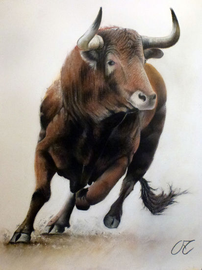 Toro de nuñez del cubillo Pastel Papel Otros