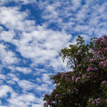 Lugares thumbnail 1