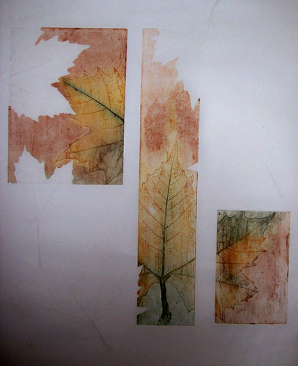 Texturas de Otoño