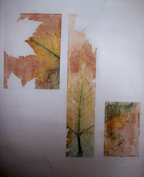 Texturas de Otoño