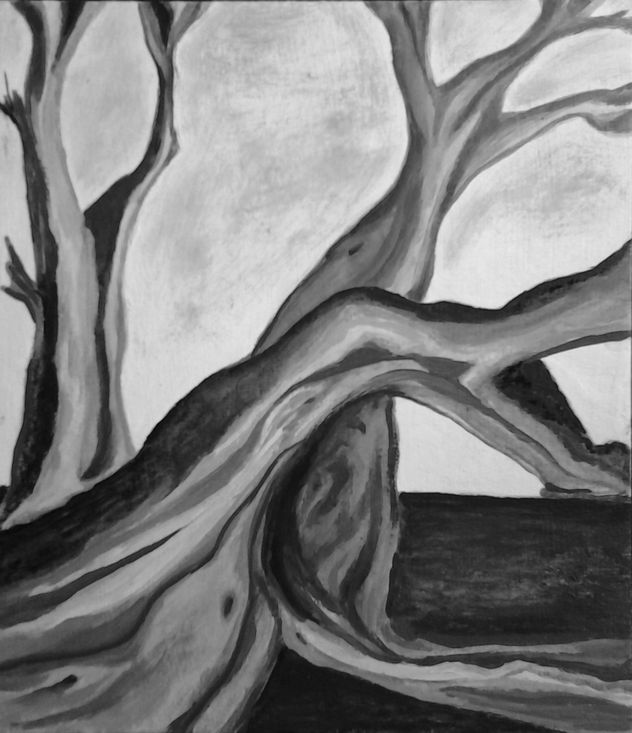 BOSQUE ÓSEO IV