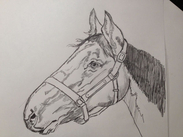 Caballo Pencil