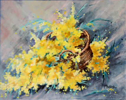 Mimosa