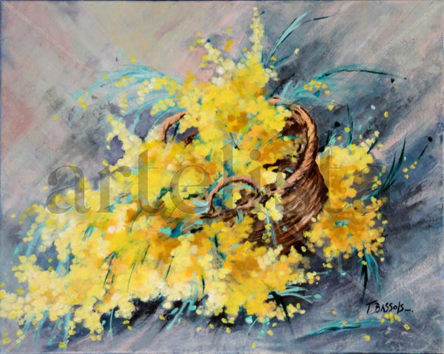 Mimosa
