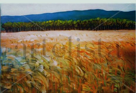 Campo de trigo