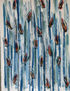 " LLUVIA  INTERNA "