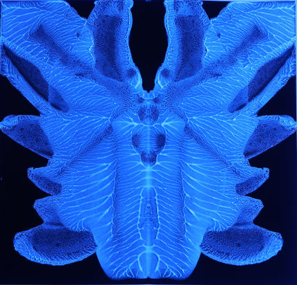 cuadradoAzul