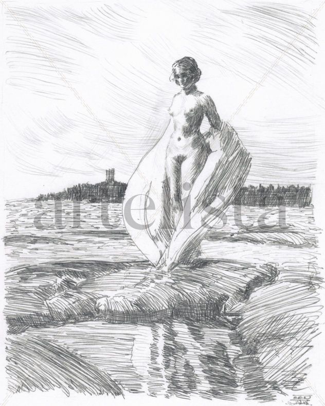 The Swan