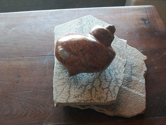 caracol