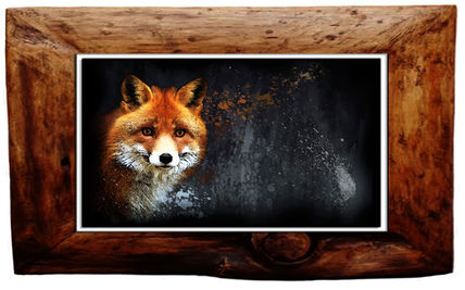 Red fox face