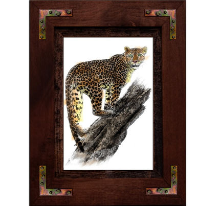 Jaguarete 02