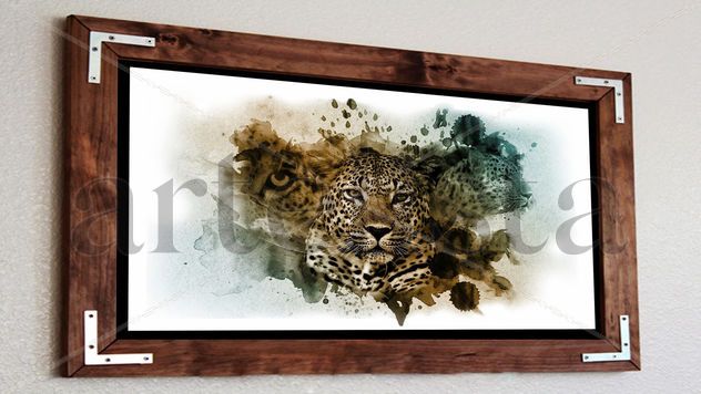 Manchas de leopardos 177505