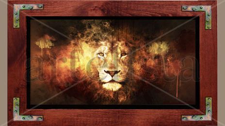 Abstract lion face
