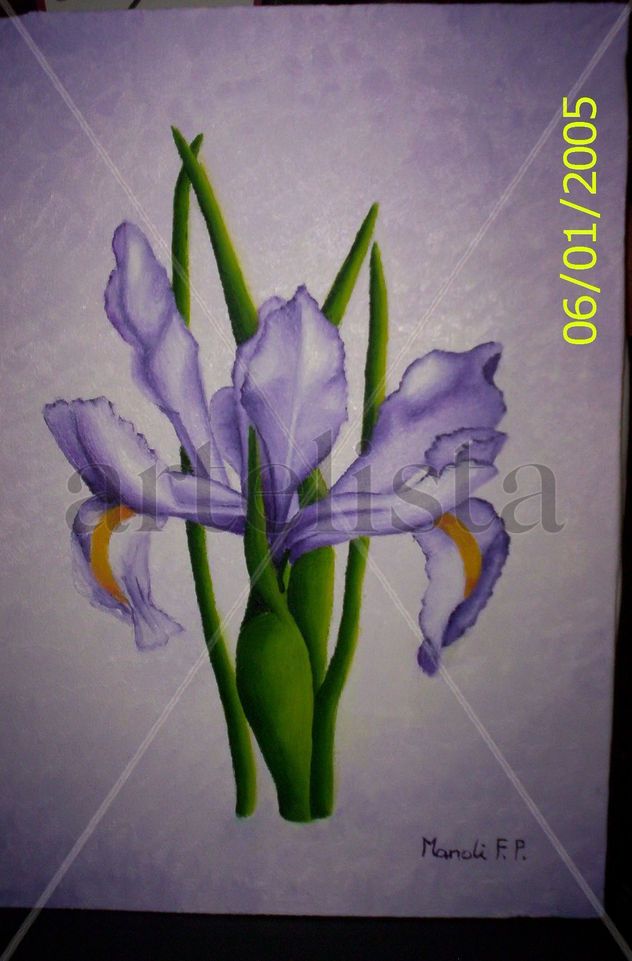 orquidea