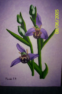 Orquidea