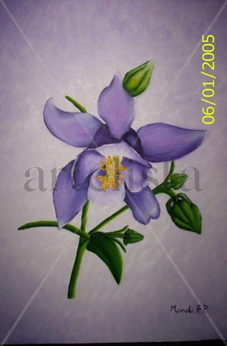 Orquidea