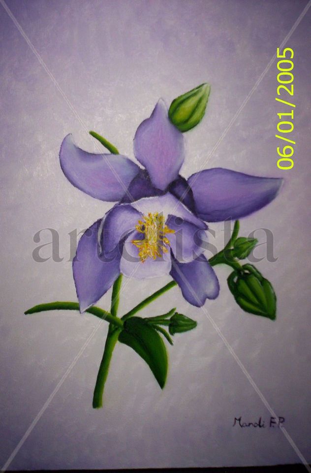 orquidea