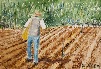 La siembra