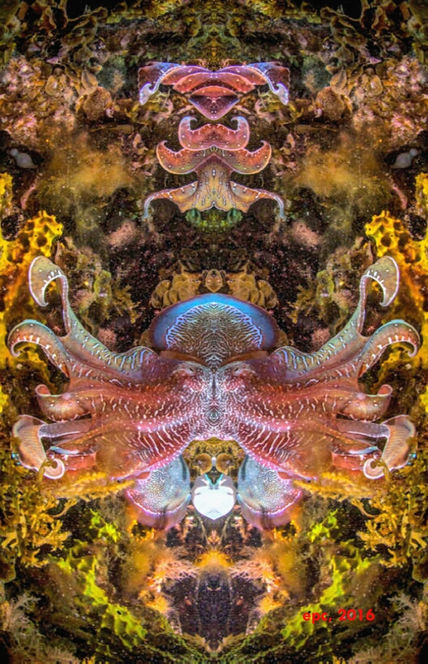 Cthulhu  1