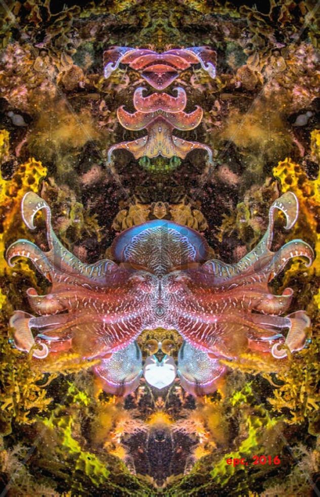 Cthulhu  1