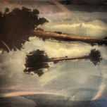 appearances thumbnail 1