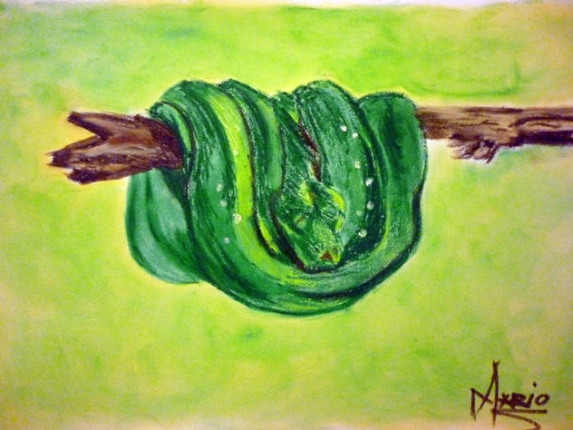 sueño verde