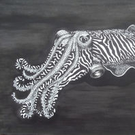 obra