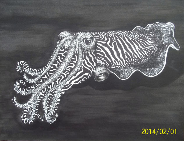 meduza