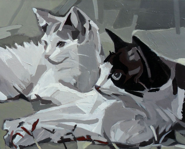 Gatos grises Acrylic Canvas Animals