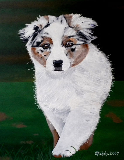 Australian Shepherd Acrylic Canvas Animals