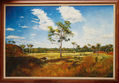 paisaje llanero