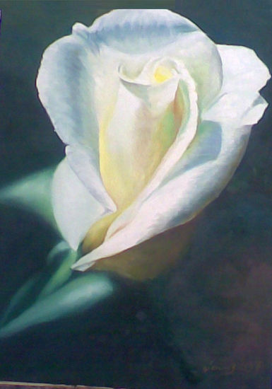 rosa blanca Óleo Lienzo Floral