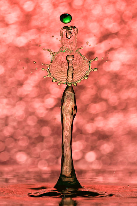 Gota 9