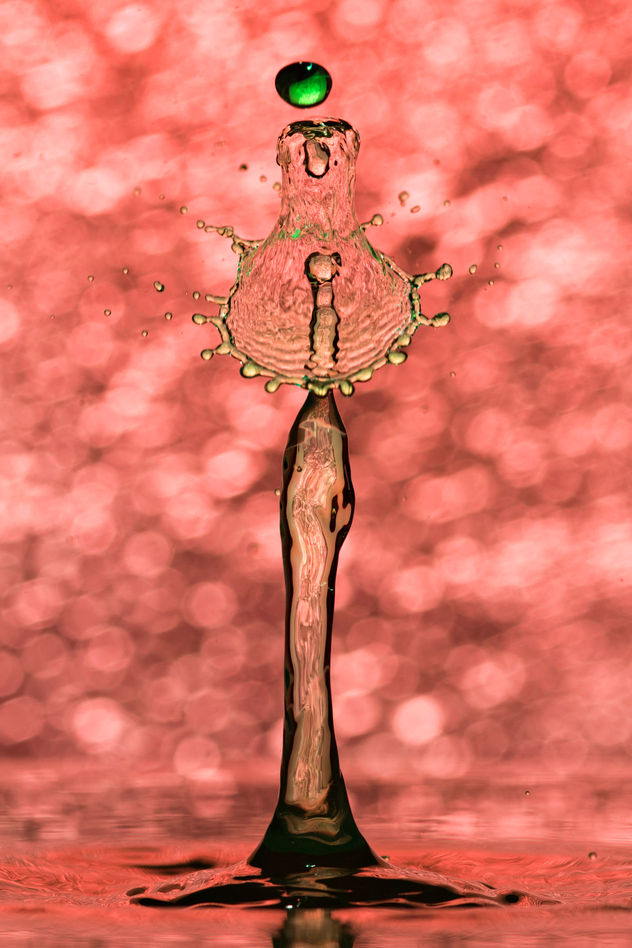 Gota 9