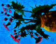 Weed. Oil on canvas, 50-40, 1982.