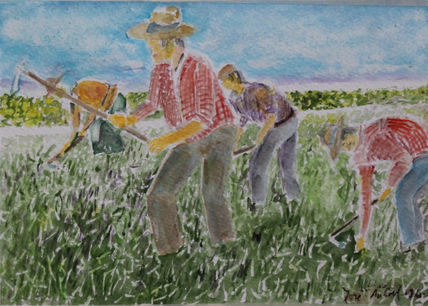 La escarda
