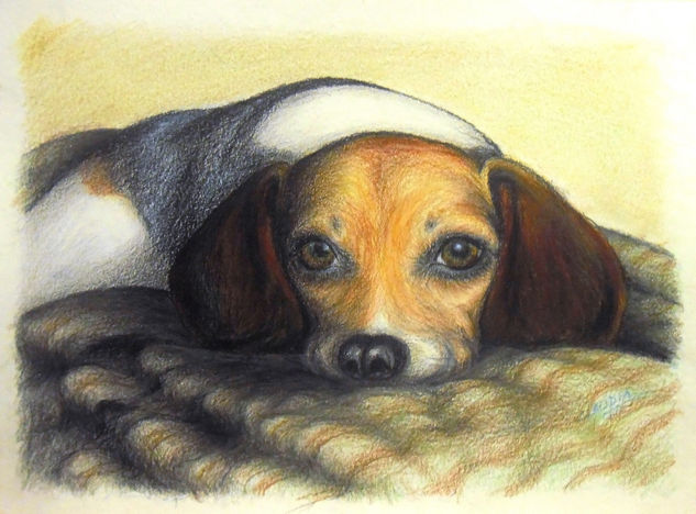 Beagle Lápiz