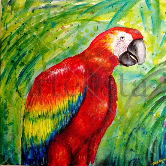 Loro tropical rojo Acrílico Tela Animales