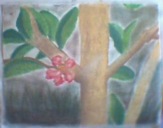 Exotica en Rosa Pastel Paper